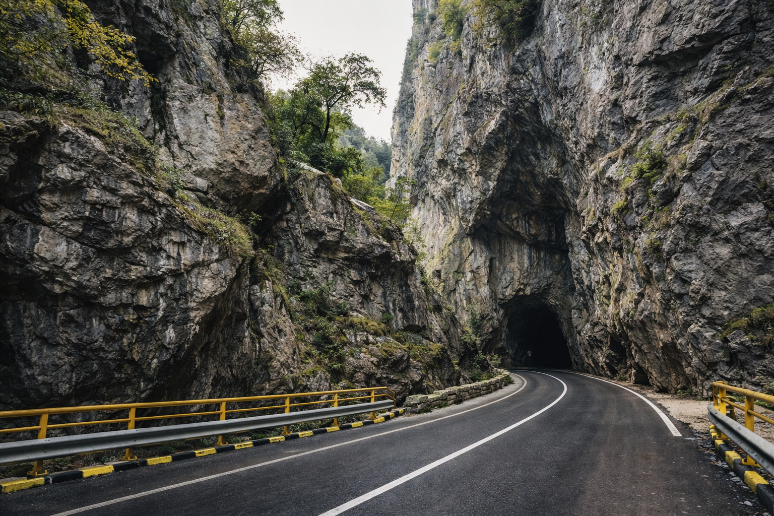 Mountain lake edge with tree-lined slopes