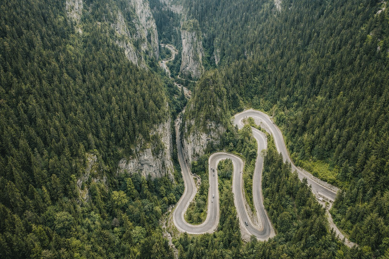 Forest reflection across still lake water